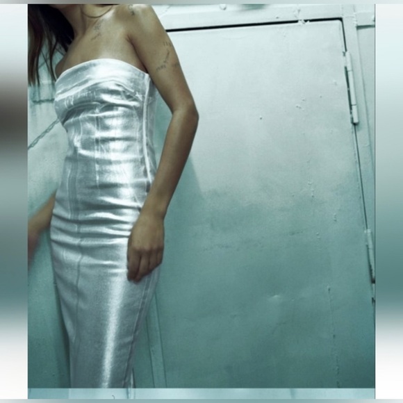 🌟NWT🌟Zara Fitted Metallic Dress - Picture 2 of 12